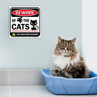 Foto 4 | Foto 4 | Cartel Bigtime Signs Beware Of Gats, Divertido Adorno Para Gatos, 30 X 30 Cm - Venta Internacional.