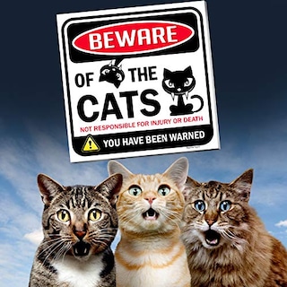 Foto 7 | Foto 7 | Cartel Bigtime Signs Beware Of Gats, Divertido Adorno Para Gatos, 30 X 30 Cm - Venta Internacional.