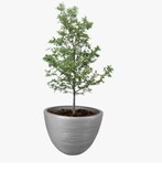 Maceta Xtellar Decorativa De Interior Y Exterior Grande 45l 1 Pieza