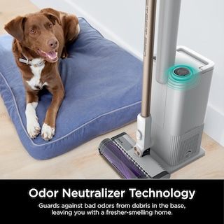 Foto 7 | Foto 7 | Aspirador Inalámbrico Shark Iw3511 Detect Pro Con Hepa - Venta Internacional.