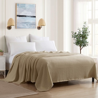 Foto 1 | Foto 1 | Manta Sweet Home Collection 100% Algodón Fino Color Topo Queen - Venta Internacional.