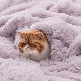 Foto 4 | Foto 4 | Manta Bedsure Fluffy Lavanda Púrpura Tamaño Queen - Venta Internacional.