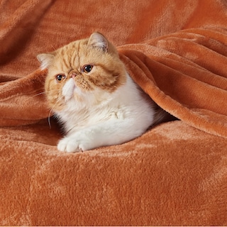 Foto 2 | Foto 2 | Manta Polar Para Cama, Color Naranja Quemado, 130 X 180 Cm, 300 G/m² - Venta Internacional.
