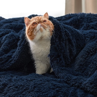Foto 5 | Foto 5 | Forro Polar De Piel Sintética Blanket Bedsure Fluffy, Azul Marino, Tamaño Queen - Venta Internacional.