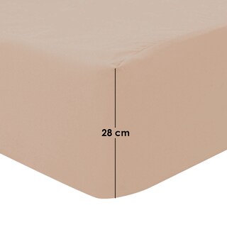 Foto 4 | Foto 4 | Juego de Sábanas Aquila King Size color Beige