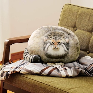 Foto 4 | Foto 4 | Almohada De Peluche Con Forma De Gato Pallas De 45 Cm, Juguete De Peluche, Regalo Para Niños - Venta Internacional.