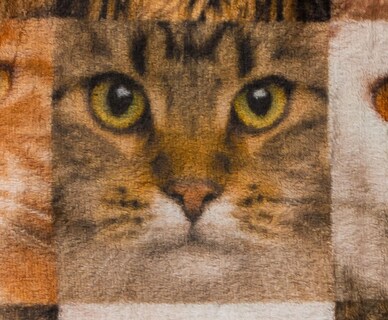 Foto 3 | Foto 3 | Manta Polar Toynk Cat Face Collage, 114 X 152 Cm - Venta Internacional.