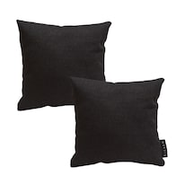 Set De 2 Cojines Alfaone Dicasa Color Negro