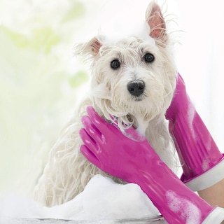 Foto 5 | Foto 5 | Guantes De Limpieza Playtex Living O-cedar De Goma Reutilizables Paquete De 4 - Venta Internacional.