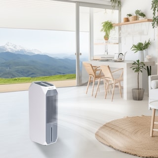 Foto 8 | Foto 8 | Enfriador de Aire Portátil Mytek Blanco 8L