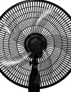 Foto 3 | Foto 3 | Ventilador Pedestal Roosevelt Outdoors 2407 036 Negro