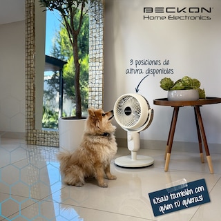 Foto 7 | Foto 7 | Ventilador De Pedestal Decorativo Premium Beckon Bv-45star Alta Potencia 27cm De Diámetro 3 Posiciones De Altura Oscilación
