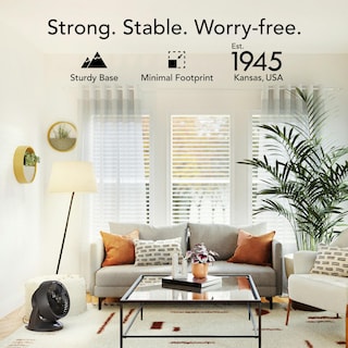 Foto 6 | Foto 6 | Circulador Fan Vornado 753 Osc Para Toda La Habitación Con Mando A Distancia Color Negro - Venta Internacional.