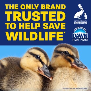Foto 4 | Foto 4 | Jabón Para Platos Dawn Platinum Ez-squeeze Wild Jasmine 540 Ml X6 - Venta Internacional.