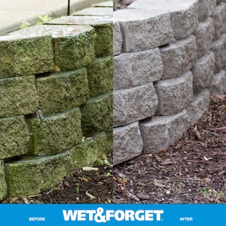 Foto 2 | Foto 2 | Quitamanchas Wet & Forget Moss, Moho Y Algas, 3,8 L - Venta Internacional.