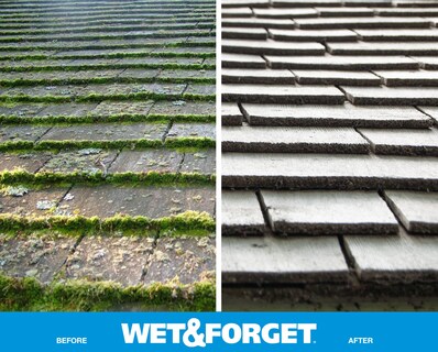 Foto 3 | Foto 3 | Quitamanchas Wet & Forget Moss, Moho Y Algas, 3,8 L - Venta Internacional.