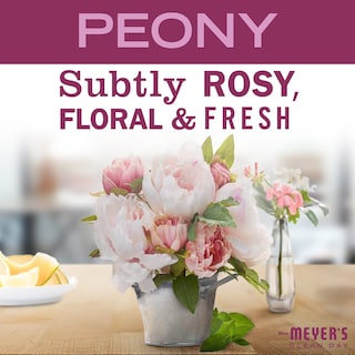 Foto 3 | Foto 3 | Spray Limpiador Multiusos Mrs. Meyer's Clean Day Peony 500 Ml X 3 - Venta Internacional.