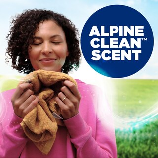 Foto 4 | Foto 4 | Detergente para Ropa Arm & Hammer Alpine Clean 9.56 Libras 155 Cargas - Venta Internacional