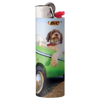 Foto 3 | Foto 3 | Lighter Bic Edición Especial Animal Lover Maxi Pocket X50 - Venta Internacional.