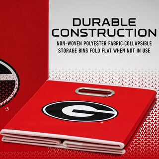 Foto 4 | Foto 4 | Contenedor De Almacenamiento Franklin Sports Ncaa Georgia Bulldogs - Venta Internacional.