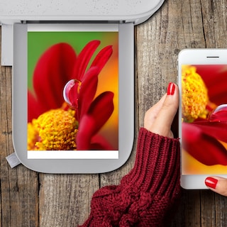Foto 4 | Foto 4 | Cartuchos Y Papel Fotográfico Hp Sprocket Studio Plus - Venta Internacional.
