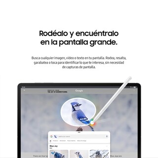 Foto 2 | Foto 2 | Combo Samsung Galaxy Tab S10 Fe+ Gris 256gb + Buds3 Blanco