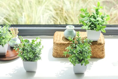 Foto 6 | Foto 6 | Plantas Artificiales Der Rose, Minimacetas Verdes, 4 Unidades, Para El Hogar - Venta Internacional.