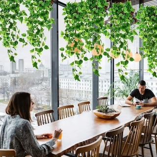 Foto 4 | Foto 4 | Decoración Artificial De Plantas Enredaderas, 2,1 M, Paquete De 12 Tiras - Venta Internacional.