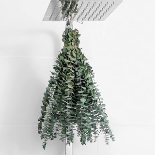 Foto 1 | Foto 1 | Semillas De Eucalipto Secas Favowreath De 17 Cm, 10 Unidades, Para Decoración Del Hogar - Venta Internacional.