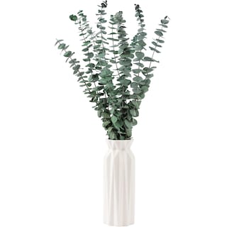 Foto 2 | Foto 2 | Semillas De Eucalipto Secas Favowreath De 17 Cm, 10 Unidades, Para Decoración Del Hogar - Venta Internacional.