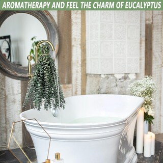 Foto 3 | Foto 3 | Semillas De Eucalipto Secas Favowreath De 17 Cm, 10 Unidades, Para Decoración Del Hogar - Venta Internacional.