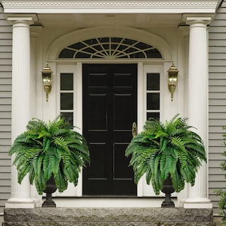 Foto 1 | Foto 1 | Helechos Artificiales de Boston para Exteriores 24 Piezas - Venta Internacional
