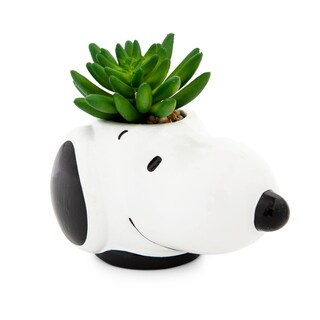 Foto 3 | Foto 3 | Mini Maceta de Cerámica Cara de Snoopy con Plantas Suculentas Artificiales - Venta Internacional