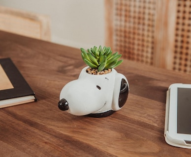 Foto 5 | Foto 5 | Mini Maceta de Cerámica Cara de Snoopy con Plantas Suculentas Artificiales - Venta Internacional