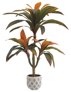 Foto 1 | Foto 1 | Planta Artificial Decorativa Moderna Con Maceta Compacta Dracaena Palo De Brasil De 75cm De Alto Artego Para Hogar Sala Comercio