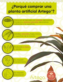 Foto 3 | Foto 3 | Planta Artificial Decorativa Moderna Con Maceta Compacta Dracaena Palo De Brasil De 75cm De Alto Artego Para Hogar Sala Comercio
