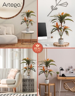 Foto 5 | Foto 5 | Planta Artificial Decorativa Moderna Con Maceta Compacta Dracaena Palo De Brasil De 75cm De Alto Artego Para Hogar Sala Comercio