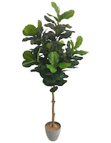 Planta Artificial Decorativa Moderna Con Maceta Ficus Lyrata Grande De 180cm De Alto Artego Para Hogar Sala Comercio Oficina