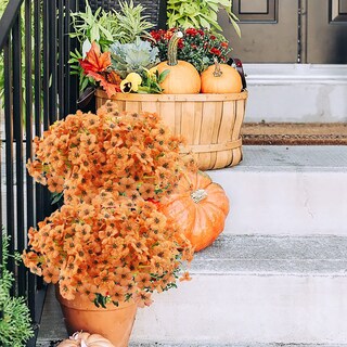 Foto 7 | Foto 7 | Flores De Otoño Artificiales Uieke, Plantas De Otoño Falsas (naranja) - Venta Internacional.
