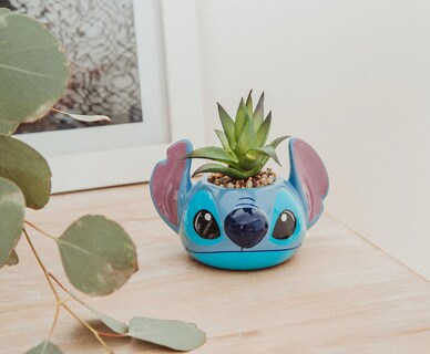 Foto 3 | Foto 3 | Minimoleta Disney Lilo & Stitch De Cerámica Con Suculentas - Venta Internacional.
