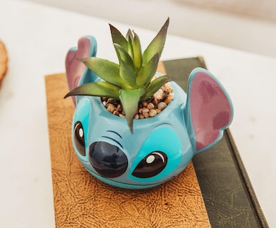Foto 4 | Foto 4 | Minimoleta Disney Lilo & Stitch De Cerámica Con Suculentas - Venta Internacional.