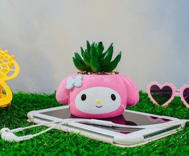 Foto 4 | Foto 4 | Mini Maceta Toynk Sanrio My Melody De Cerámica Con Material Artificial - Venta Internacional.