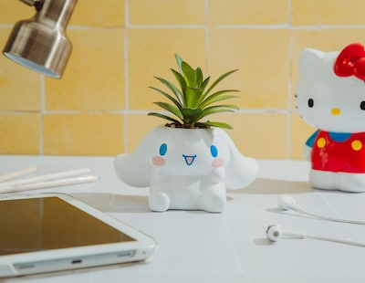 Foto 4 | Foto 4 | Macetero Pequeño De Cerámica Silver Buffalo Sanrio Cinnamoroll De 8 Cm - Venta Internacional.