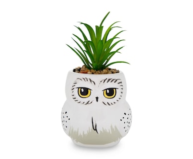 Foto 1 | Foto 1 | Mini Maceta Silver Buffalo Harry Potter Hedwig Con Suculentas - Venta Internacional.