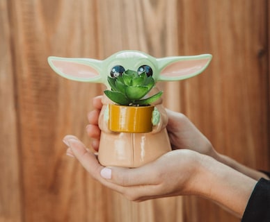 Foto 3 | Foto 3 | Macetero Pequeño De Cerámica Silver Buffalo Star Wars Grogu De 10 Cm - Venta Internacional.