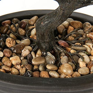 Foto 5 | Foto 5 | Bonsái Artificial Briful de 14 cm-Venta Internacional