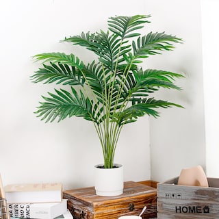 Foto 4 | Foto 4 | Palmera Artificial con Maceta Der Rose 71 cm- Venta Internacional
