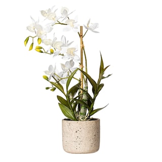 Foto 1 | Foto 1 | Orquídea Artificial Cycnoches Vickerman Everyday En Maceta, 19 Pulgadas - Venta Internacional.