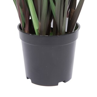 Foto 6 | Foto 6 | Planta Artificial De Césped Verde Y Eucalipto Vickerman De 24 Pulgadas - Venta Internacional.