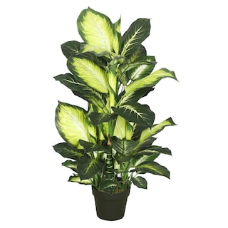 Foto 1 | Foto 1 | Árbol Artificial Vickerman Everyday Dieffenbachia De 40 Cm De Altura - Venta Internacional.
